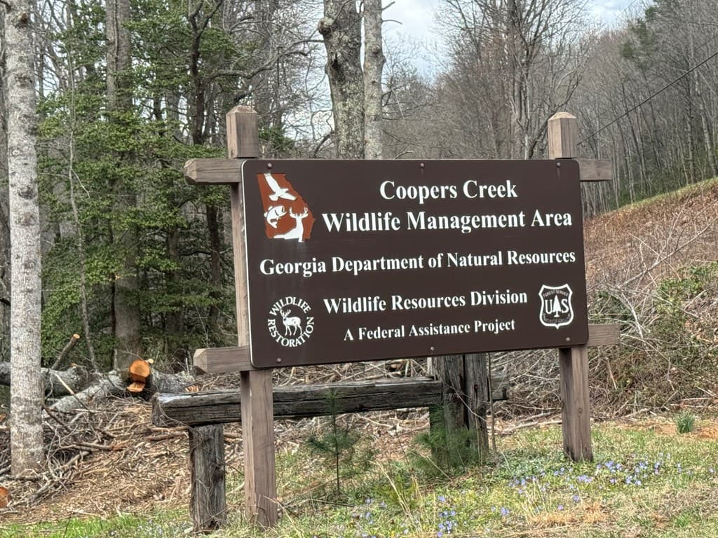 345 Cooper Creek Road, Suches GA 30572 - Photo
