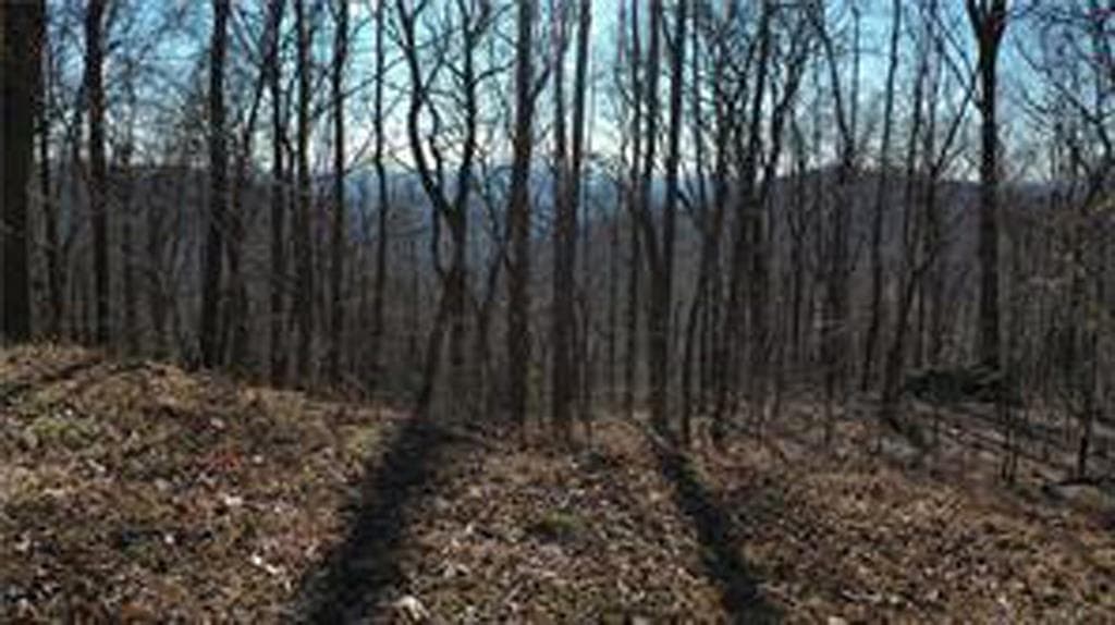 243 Dragon Trail, Ellijay GA 30536 - Photo