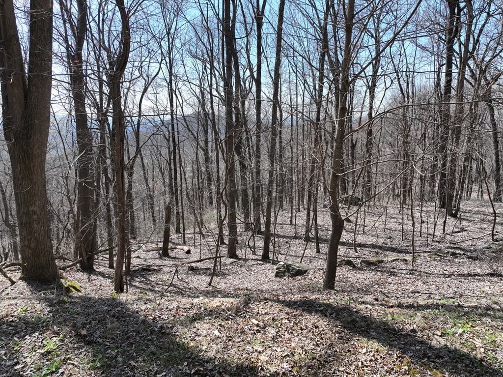 243 Dragon Trail, Ellijay GA 30536 - Photo
