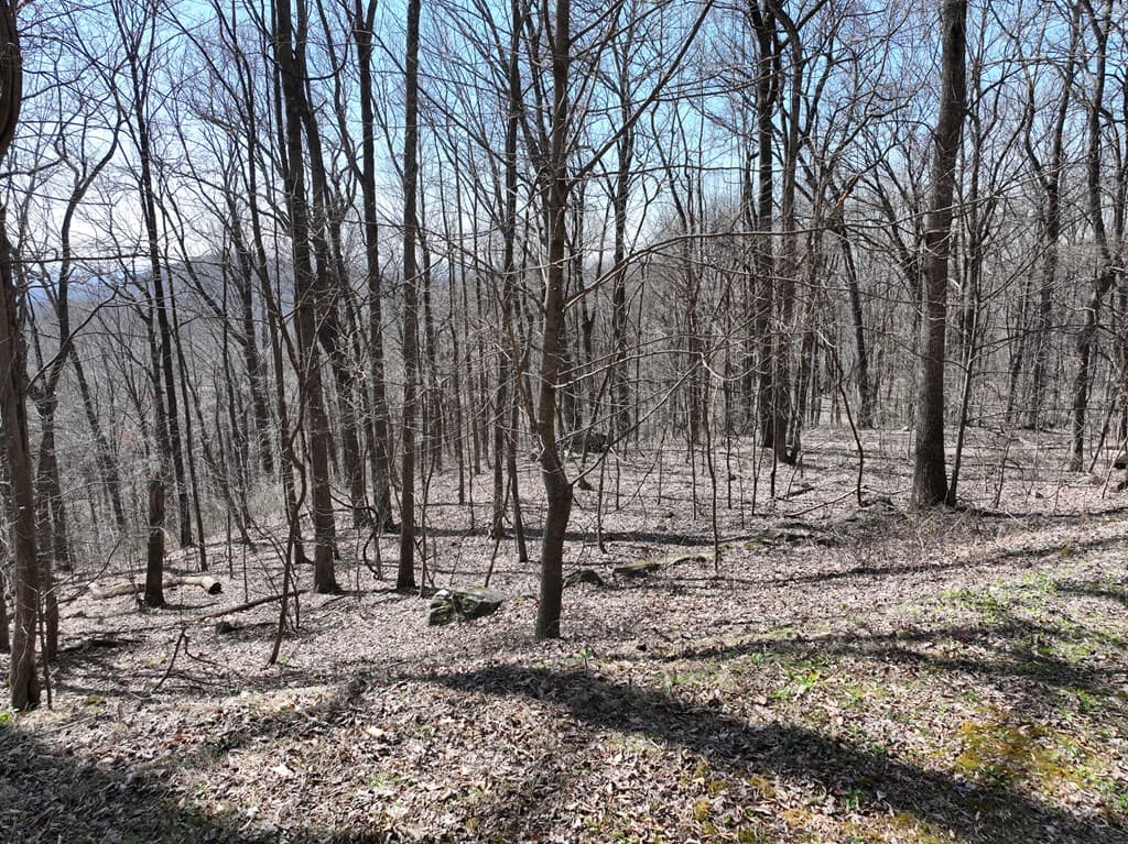 243 Dragon Trail, Ellijay GA 30536 - Photo