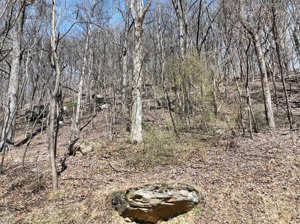 243 Dragon Trail, Ellijay GA 30536 - Photo