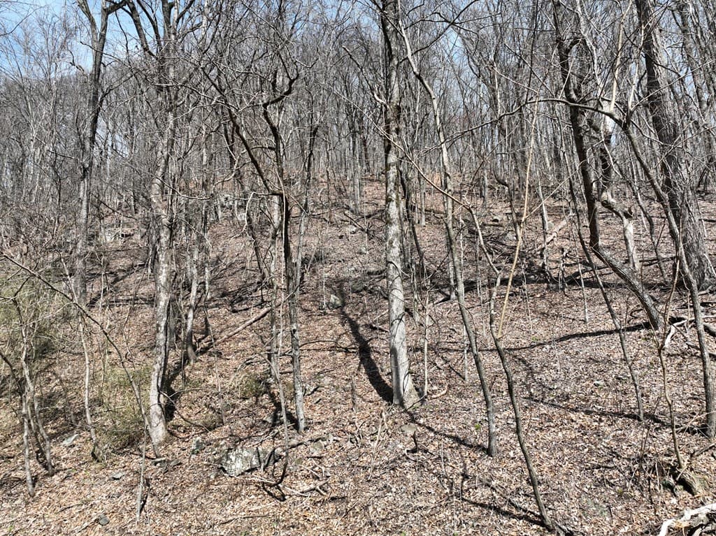 243 Dragon Trail, Ellijay GA 30536 - Photo