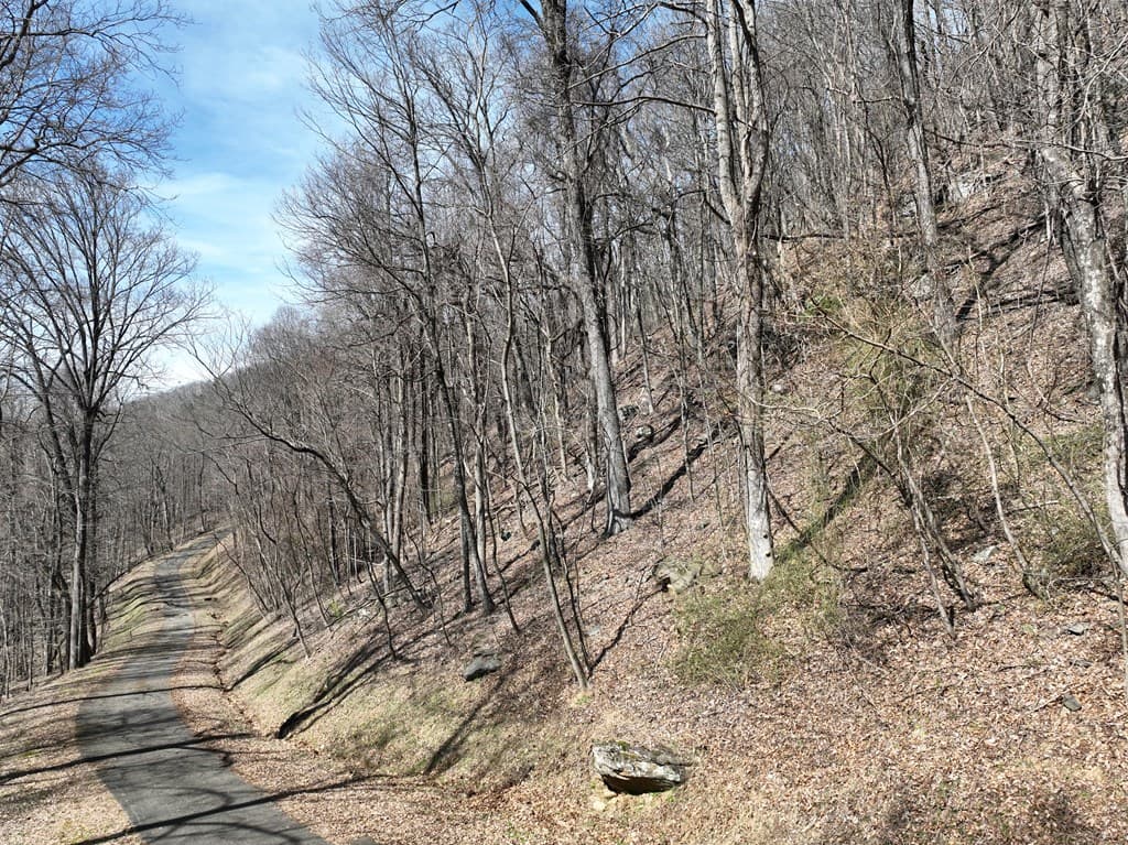 243 Dragon Trail, Ellijay GA 30536 - Photo