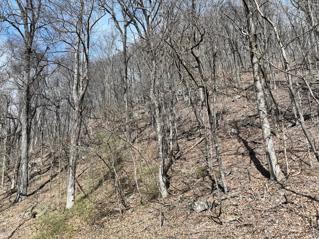243 Dragon Trail, Ellijay GA 30536 - Photo