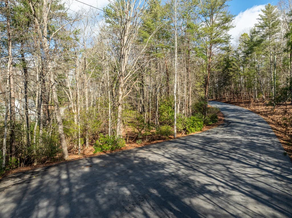 35LT Mill Creek Trail, Cleveland GA 30528 - Photo
