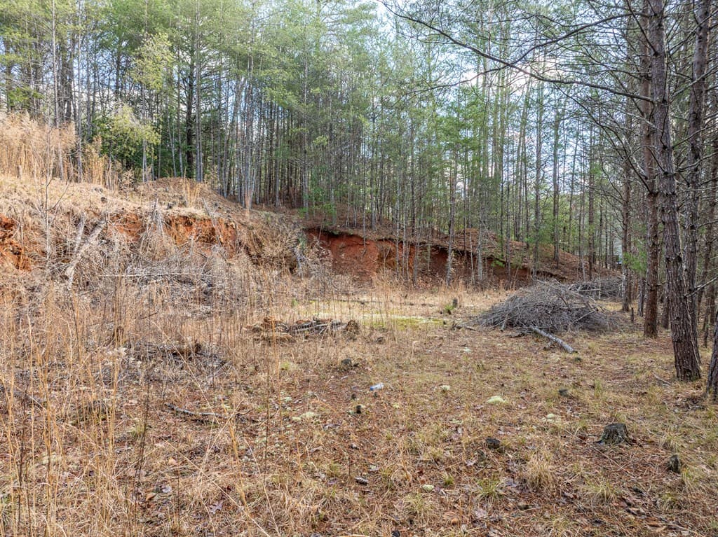 35LT Mill Creek Trail, Cleveland GA 30528 - Photo