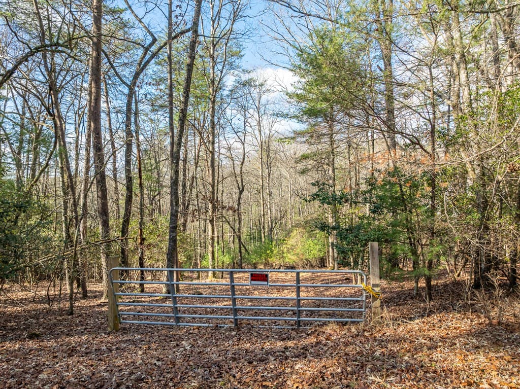 35LT Mill Creek Trail, Cleveland GA 30528 - Photo