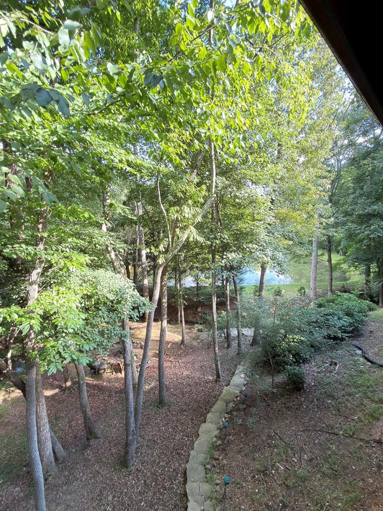 35 Wunder Bear Ridge Road, Morganton GA 30560 - Photo