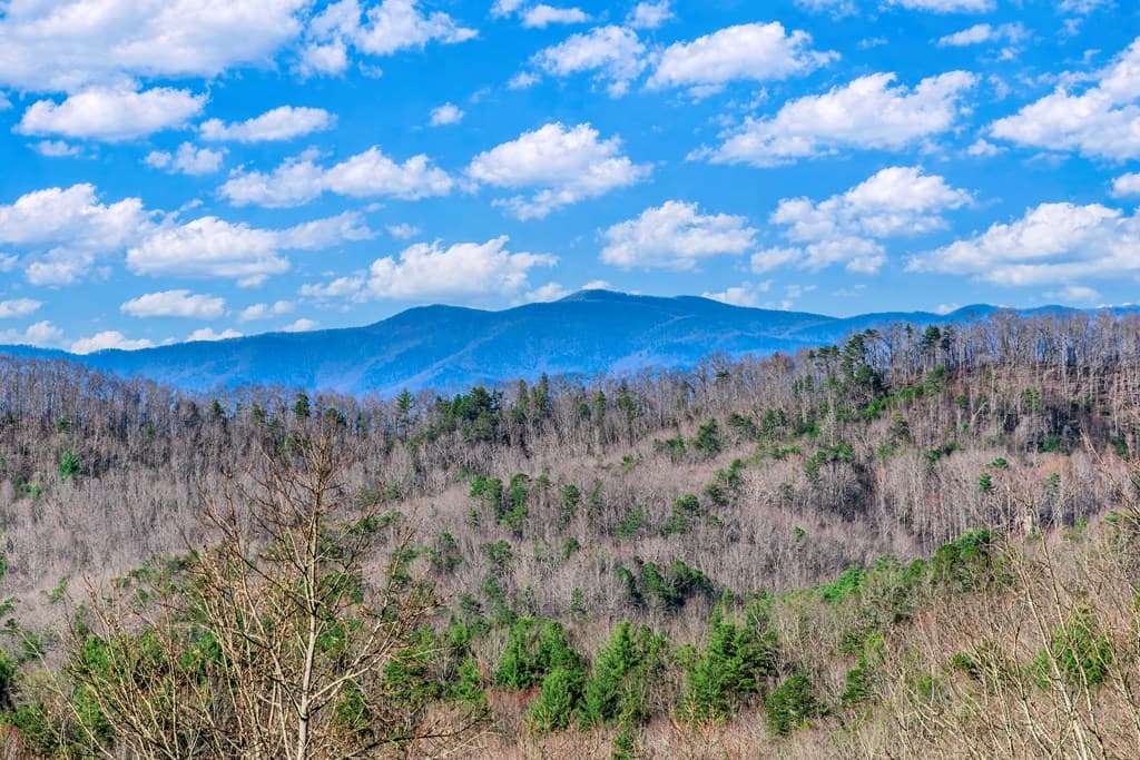 25 Unaka Trail, Mineral Bluff GA 30559 - Photo