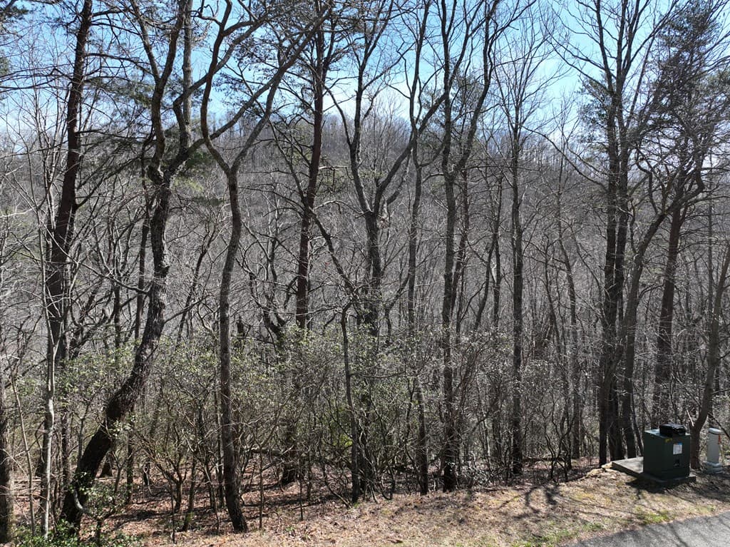 200 Stone Cliff Drive, Ellijay GA 30536 - Photo