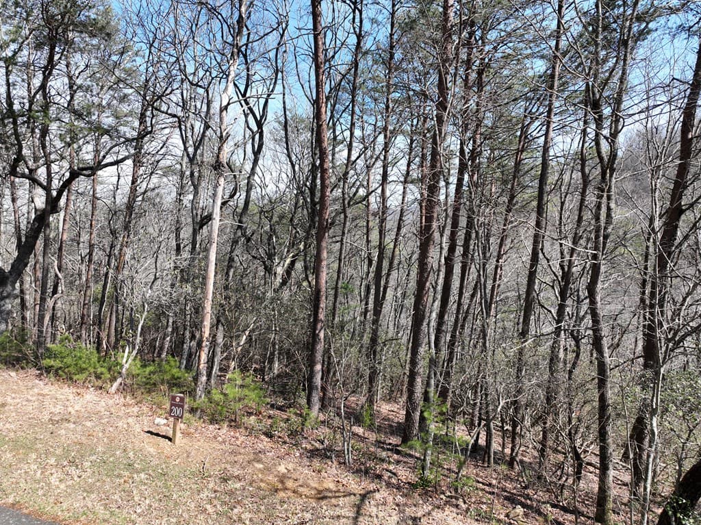 200 Stone Cliff Drive, Ellijay GA 30536 - Photo