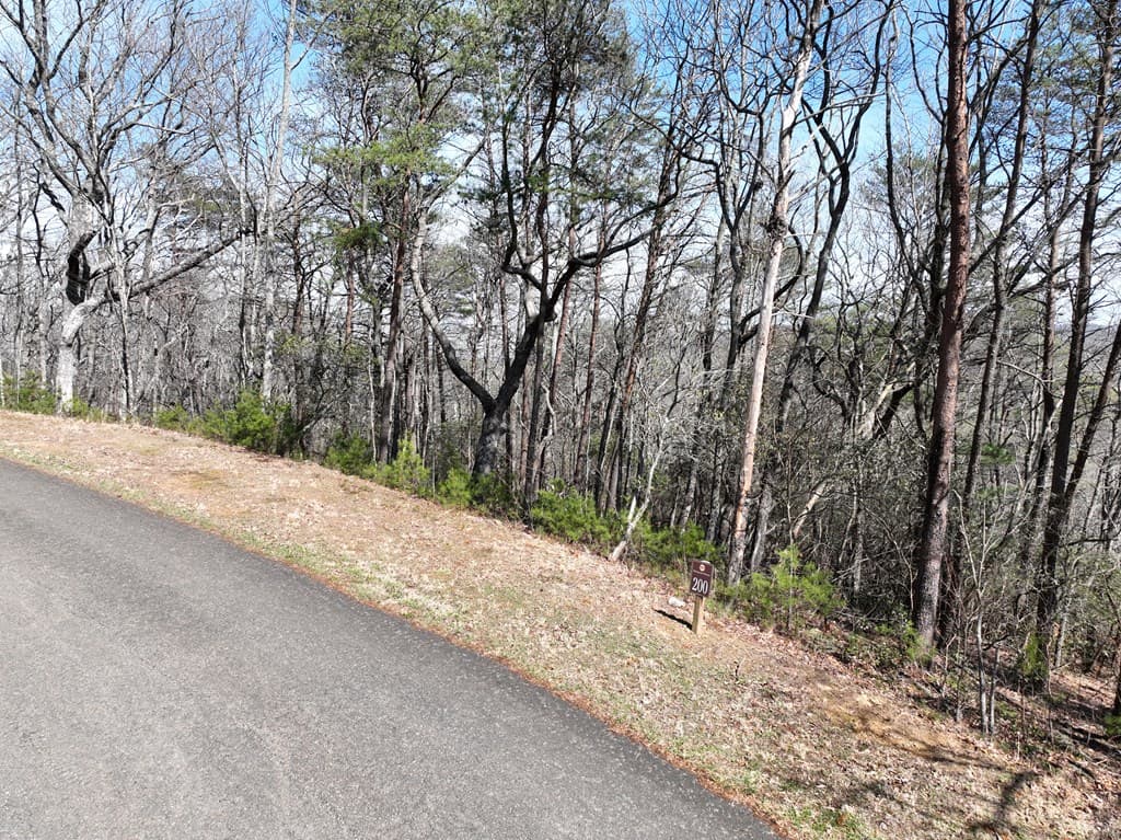 200 Stone Cliff Drive, Ellijay GA 30536 - Photo