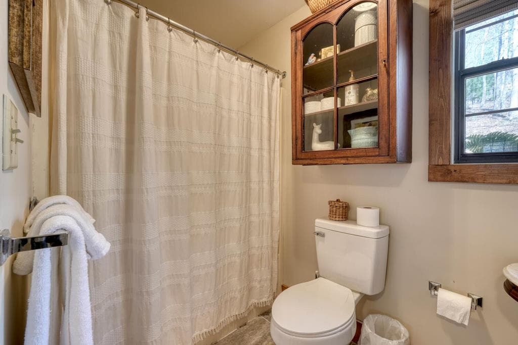22 Noel Lane, Ellijay GA 30540 - Photo