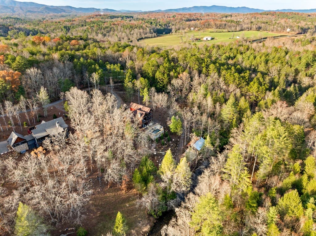 450 Miracle Lane, Blue Ridge GA 30513 - Photo