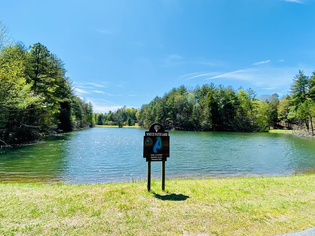 Lot 272 Seneca Drive, Ellijay GA 30540 - Photo