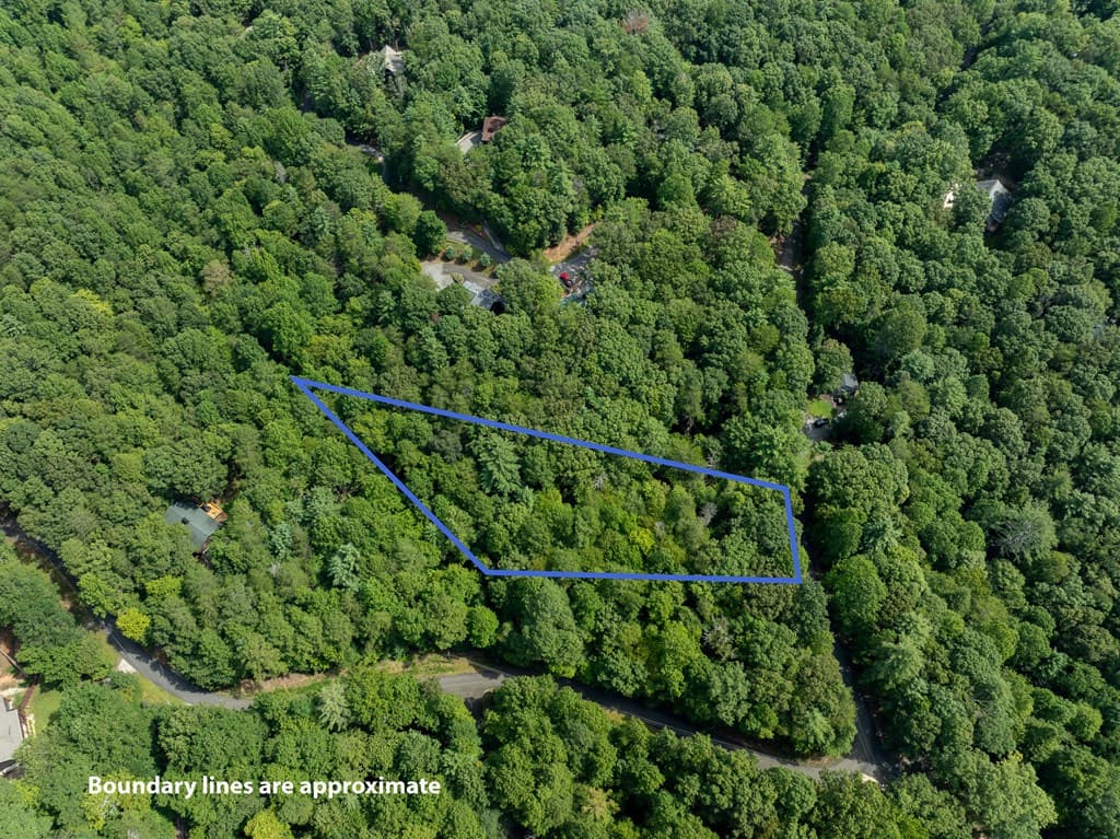 Lot 272 Seneca Drive, Ellijay GA 30540 - Photo