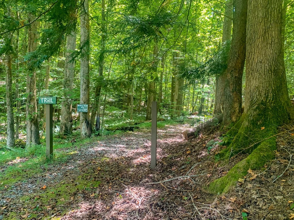 0 Ridge View Court, Ellijay GA 30536 - Photo