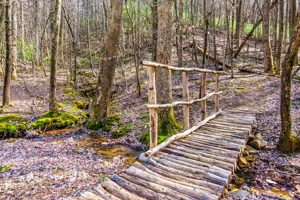 0 Ridge View Court, Ellijay GA 30536 - Photo