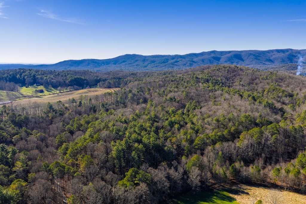 17.29 ac Pleasant Oak Trail, Ellijay GA 30540 - Photo