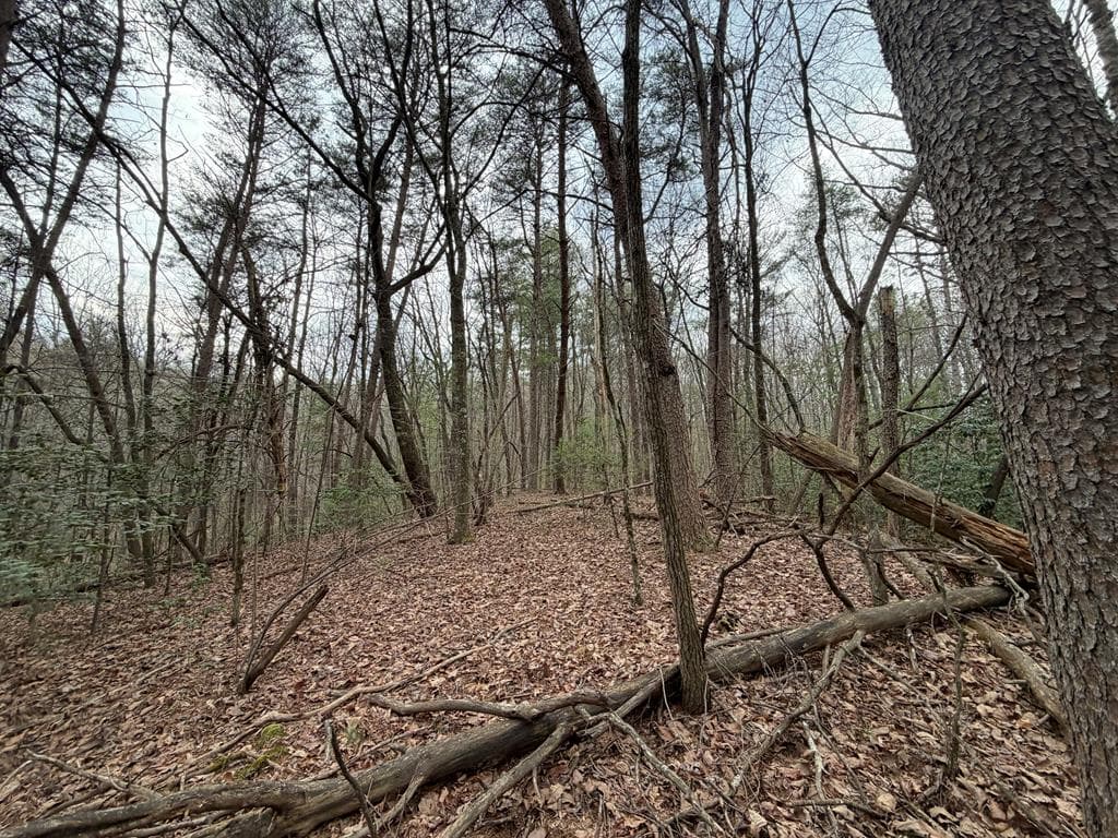 17.29 ac Pleasant Oak Trail, Ellijay GA 30540 - Photo
