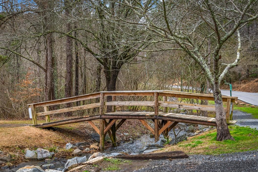 Lot 2326 Faraday Drive, Ellijay GA 30540 - Photo