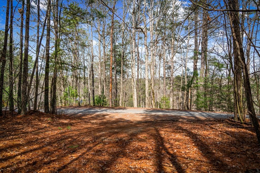 Lot 2326 Faraday Drive, Ellijay GA 30540 - Photo
