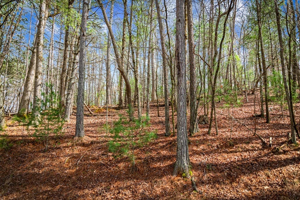 Lot 2326 Faraday Drive, Ellijay GA 30540 - Photo