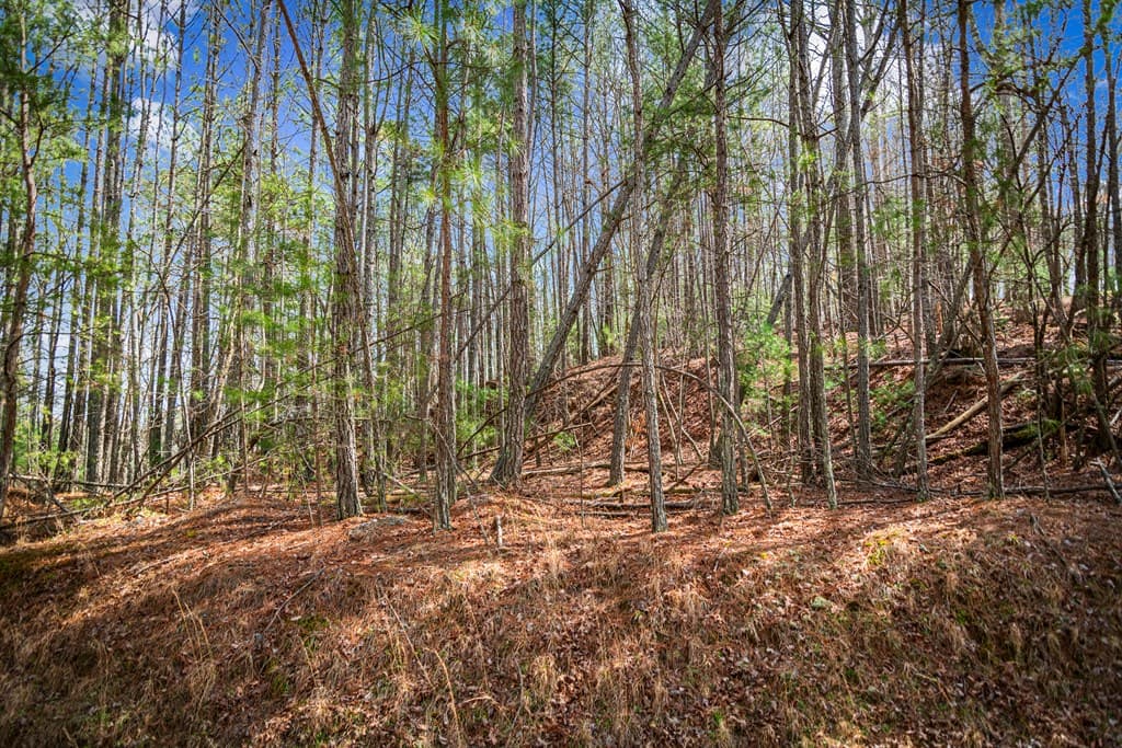 Lot 2326 Faraday Drive, Ellijay GA 30540 - Photo