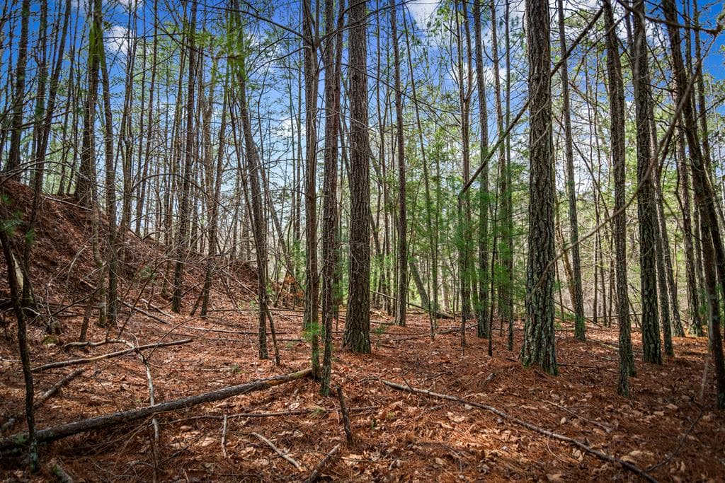 Lot 2326 Faraday Drive, Ellijay GA 30540 - Photo