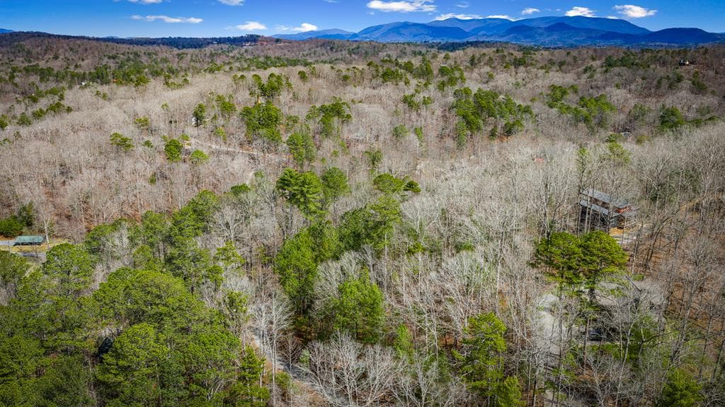 Lot 2326 Faraday Drive, Ellijay GA 30540 - Photo