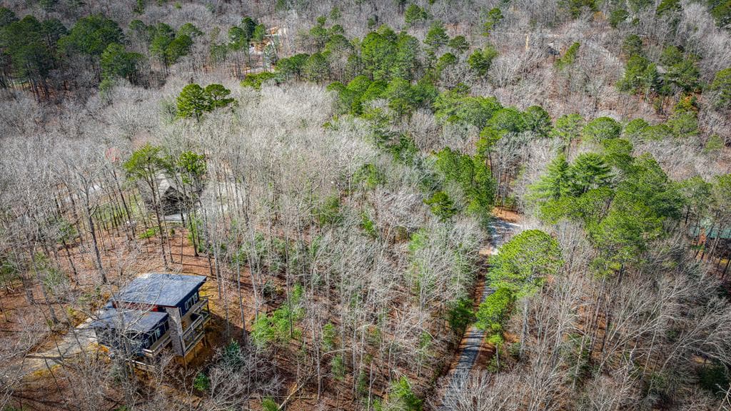 Lot 2326 Faraday Drive, Ellijay GA 30540 - Photo