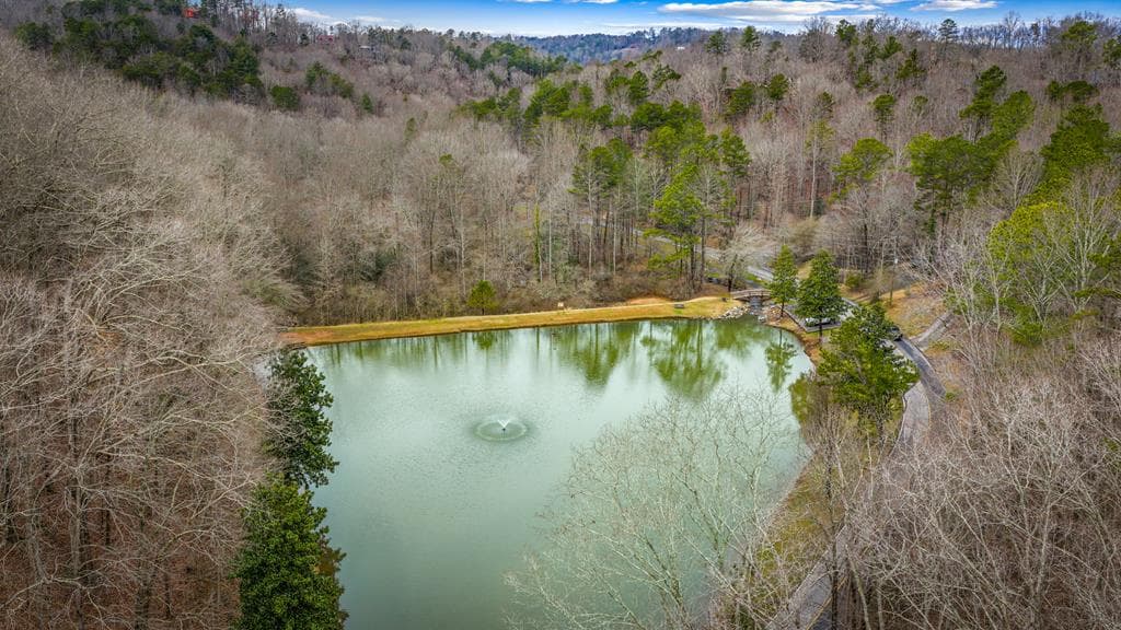 Lot 2326 Faraday Drive, Ellijay GA 30540 - Photo