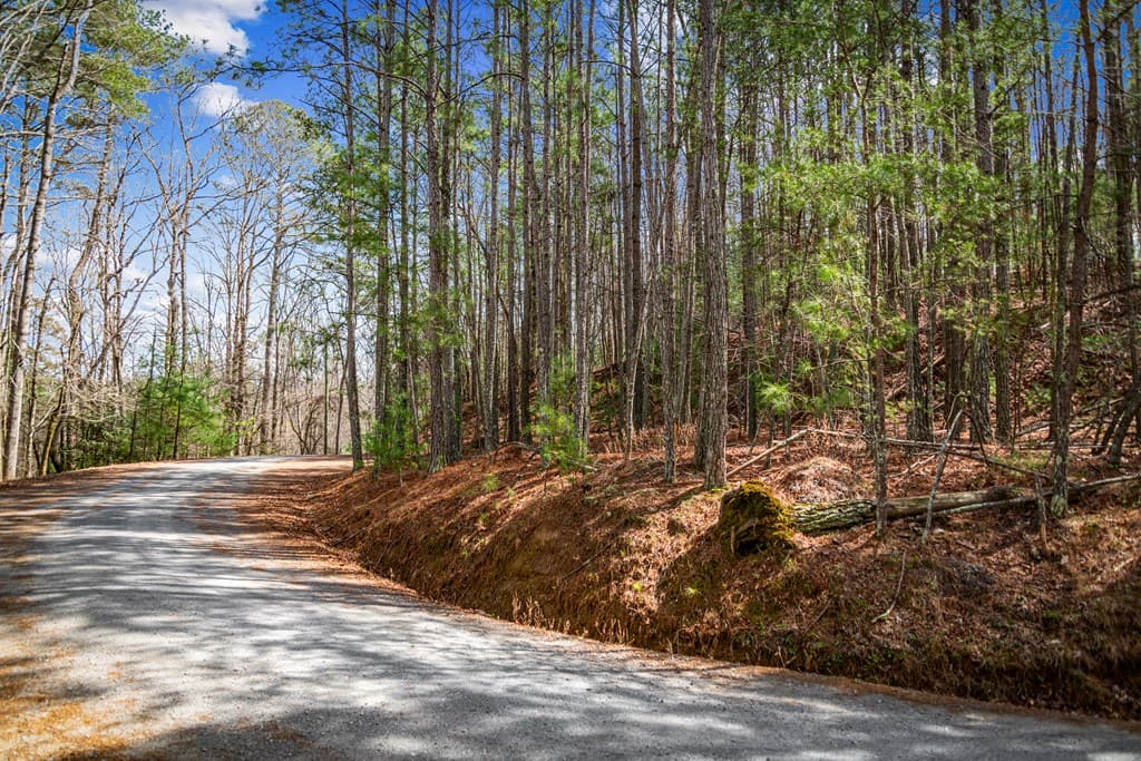 Lot 2326 Faraday Drive, Ellijay GA 30540 - Photo