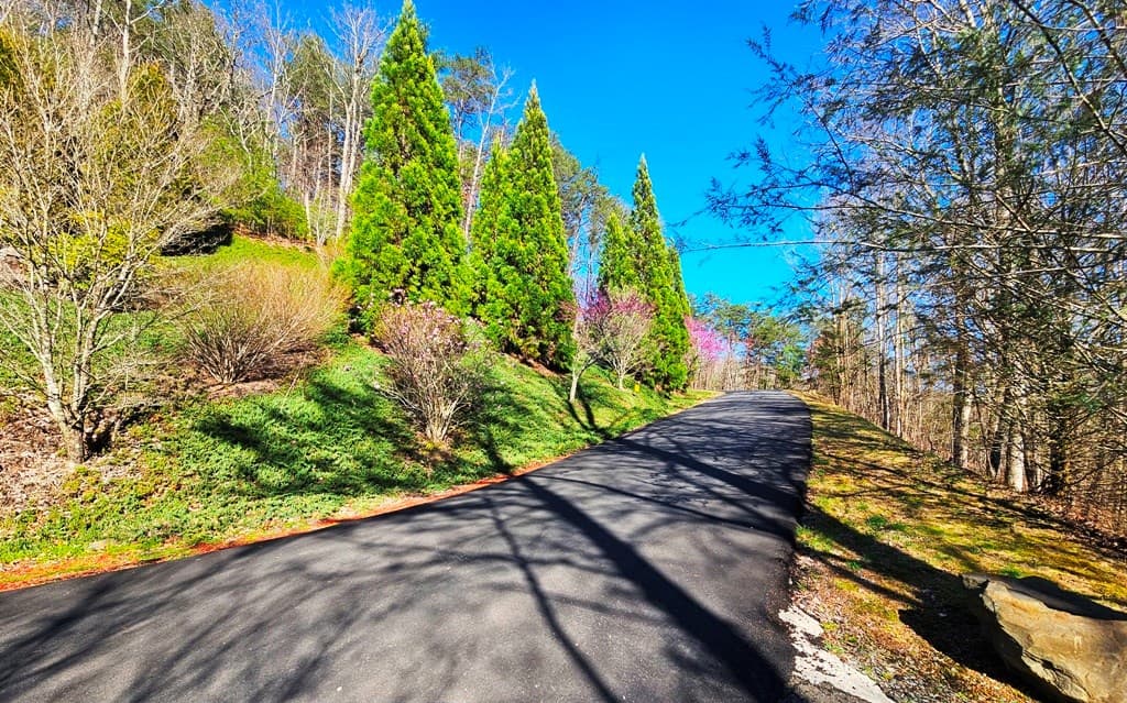 Lot 67 Wilderness Creek Way, Hothouse NC 28906 - Photo
