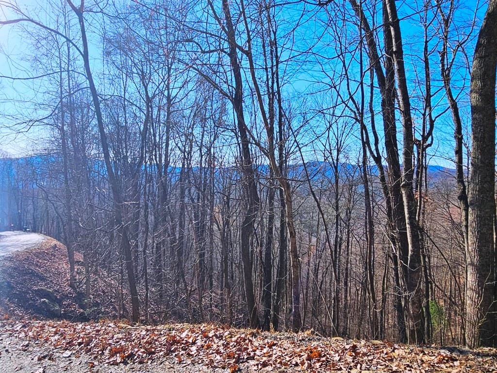 Lot 67 Wilderness Creek Way, Hothouse NC 28906 - Photo
