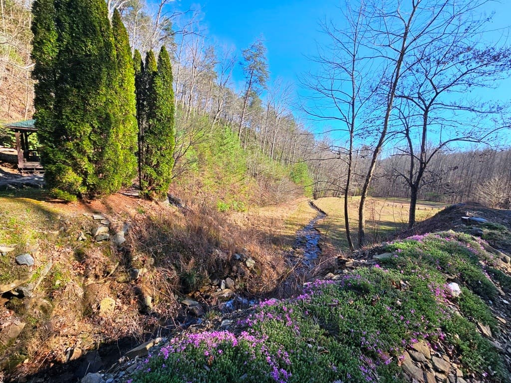 Lot 67 Wilderness Creek Way, Hothouse NC 28906 - Photo