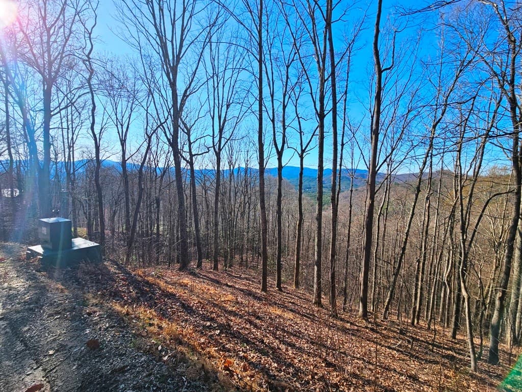 Lot 67 Wilderness Creek Way, Hothouse NC 28906 - Photo