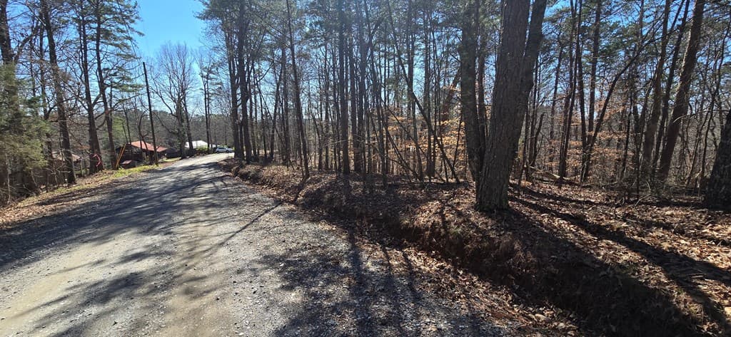 Tract 2 Friendship Trail, Talking Rock GA 30175 - Photo