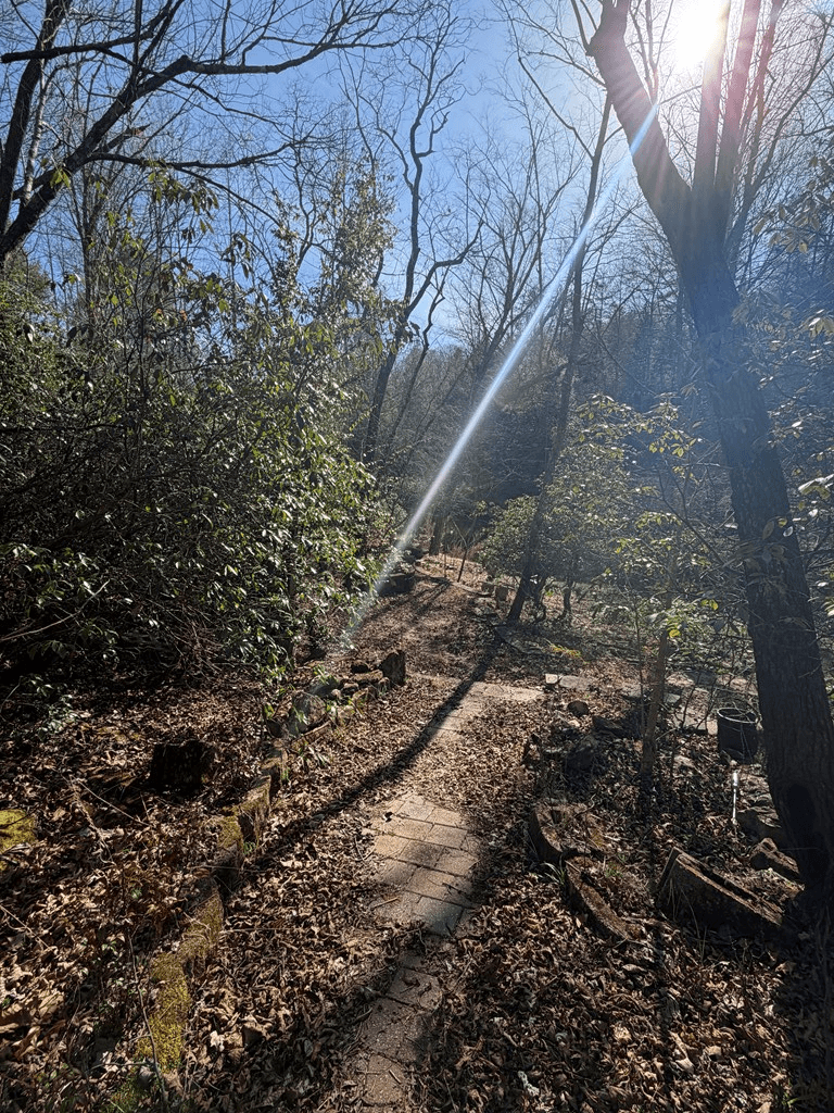 5 Acres Frogtown Place, Dahlonega GA 30533 - Photo