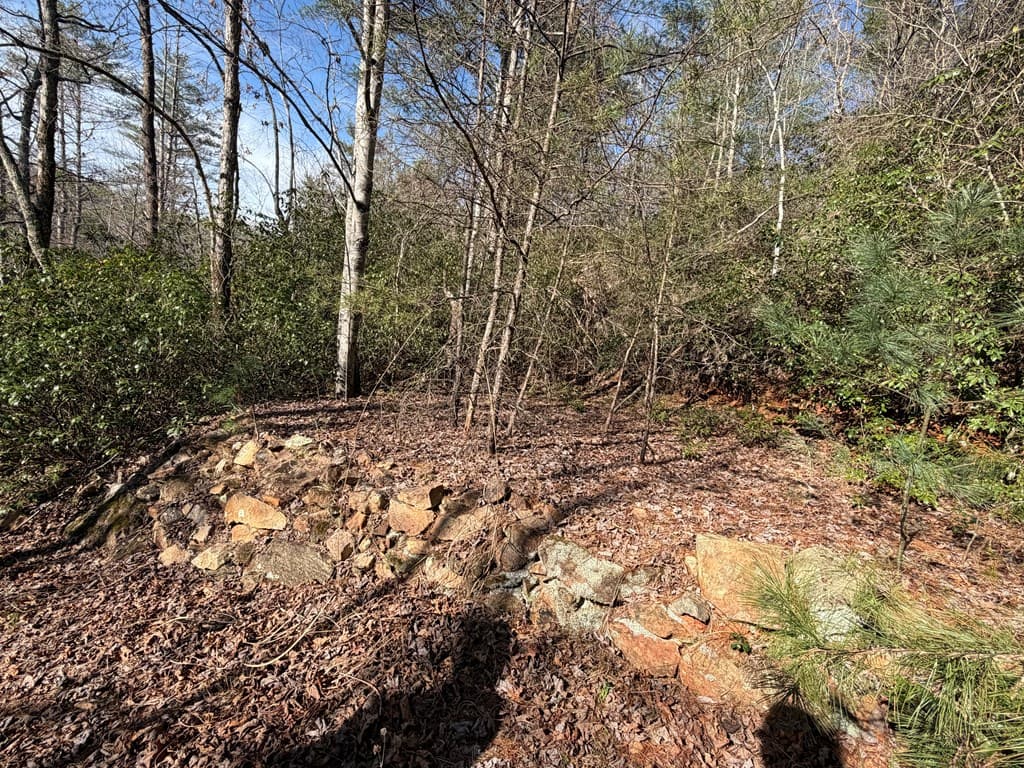 5 Acres Frogtown Place, Dahlonega GA 30533 - Photo