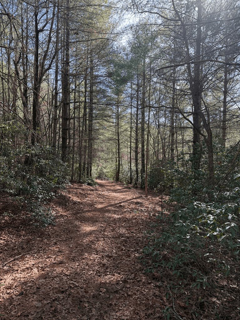 5 Acres Frogtown Place, Dahlonega GA 30533 - Photo
