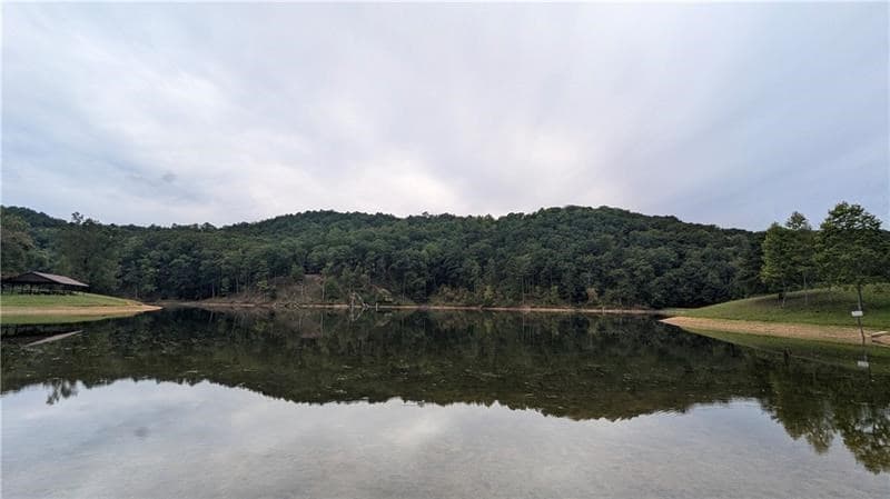 1328 Birch Lane, Ranger GA 30734 - Photo