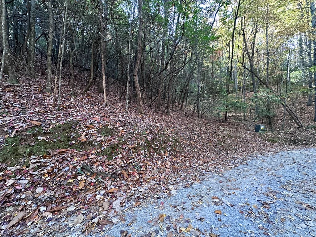 TBD Atoah Loop, Murphy NC 28906 - Photo