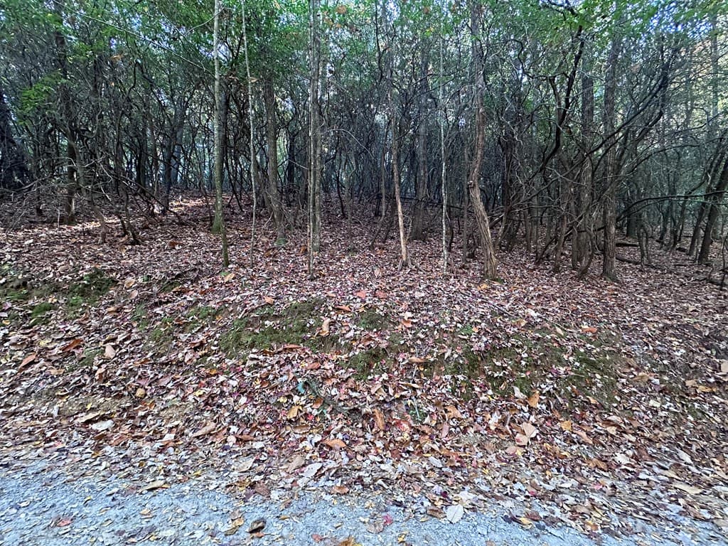 TBD Atoah Loop, Murphy NC 28906 - Photo