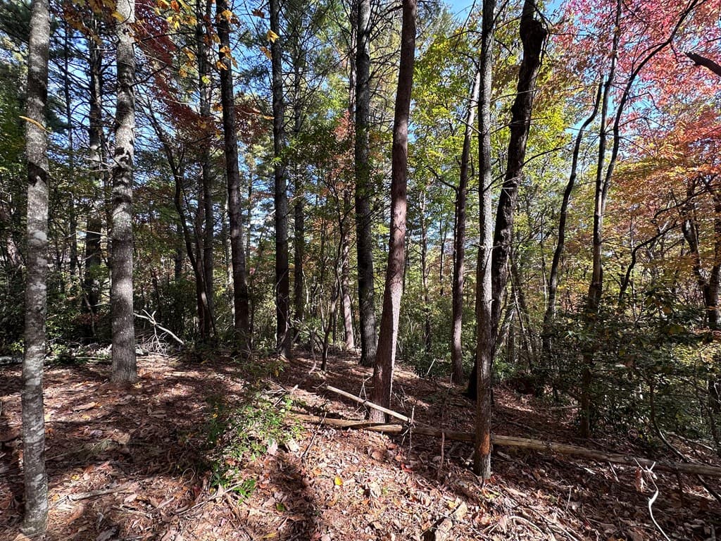 TBD Atoah Loop, Murphy NC 28906 - Photo