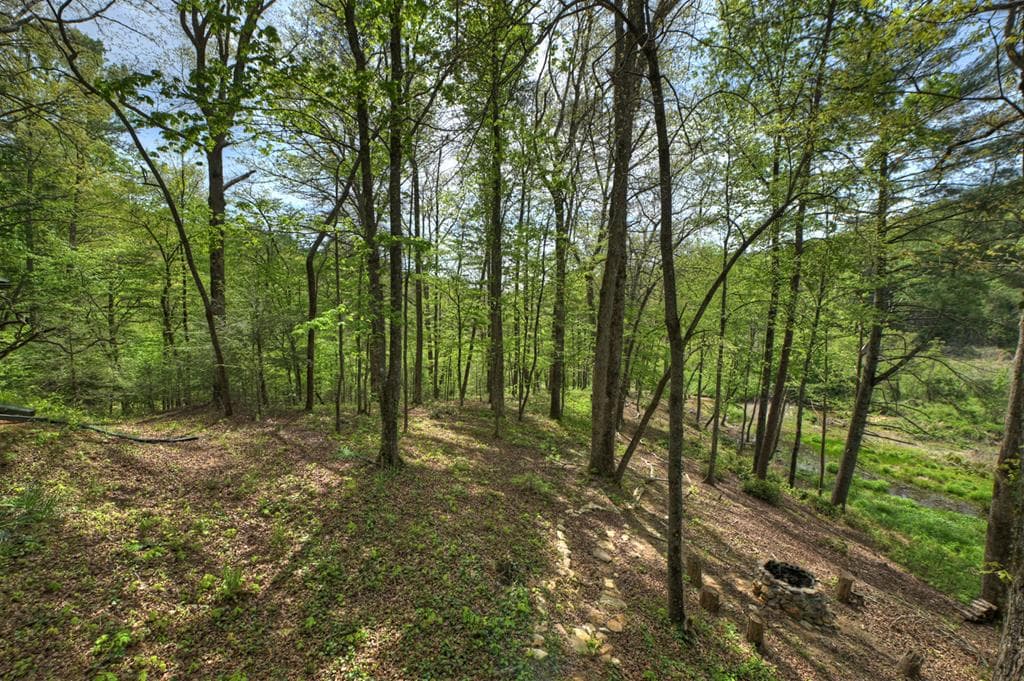 4081 Whitepath Road, Cherry Log GA 30522 - Photo