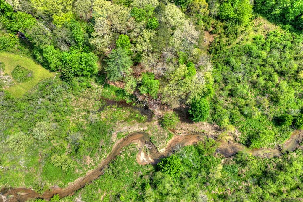 4081 Whitepath Road, Cherry Log GA 30522 - Photo