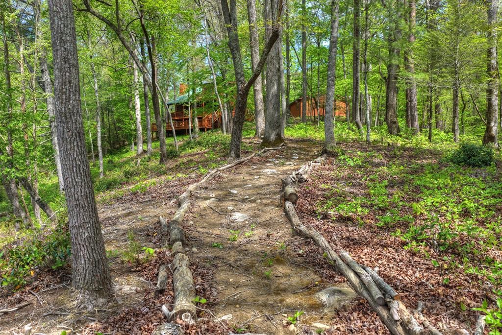 4081 Whitepath Road, Cherry Log GA 30522 - Photo