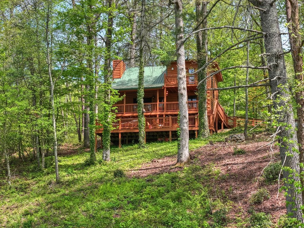 4081 Whitepath Road, Cherry Log GA 30522 - Photo