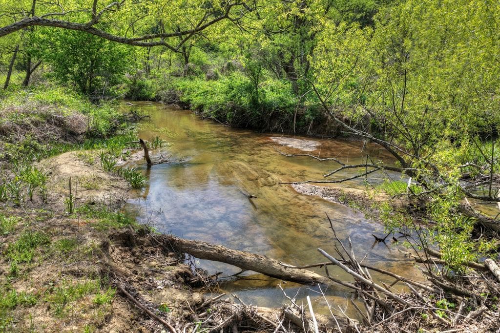 4081 Whitepath Road, Cherry Log GA 30522 - Photo